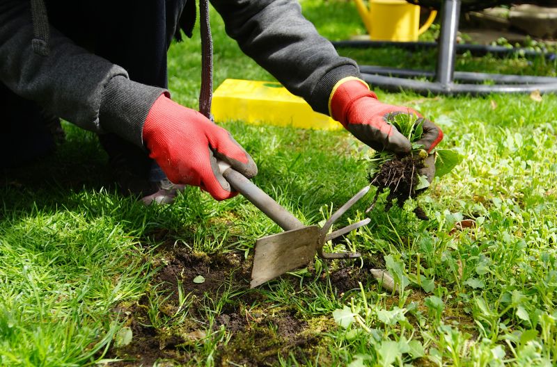 Cost of Gardening Services — Cost of Gardening