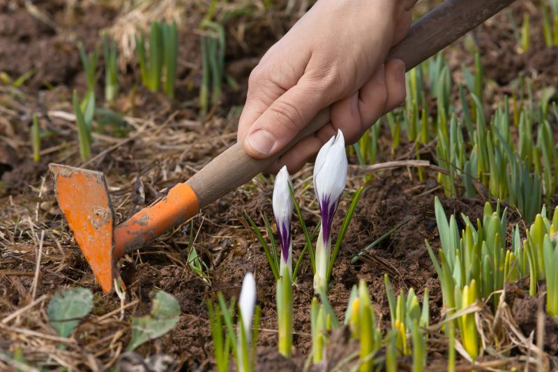 Cost of Gardening Services — Cost of Gardening