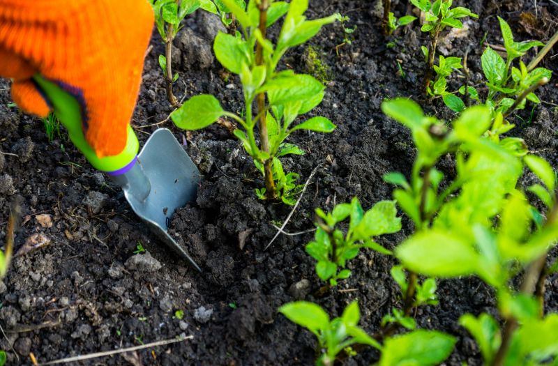Cost of Gardening Services — Cost of Gardening