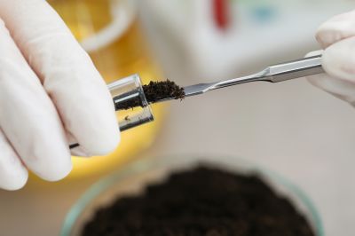 Soil Testing Services